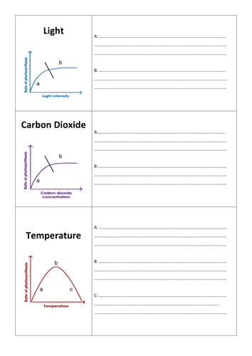 New 9-1 GCSE AQA Biology B8 Rate of Photosynthesis | Teaching Resources