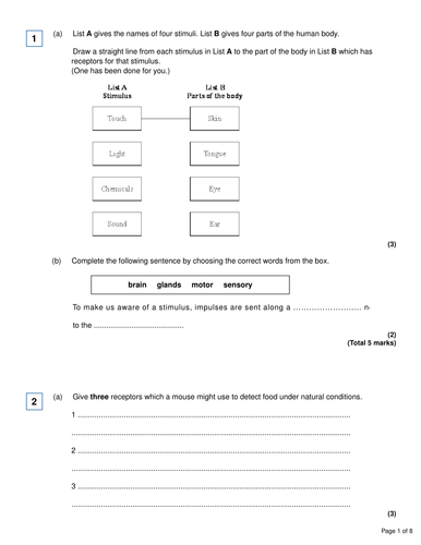 Lesson on the brain AQA new GCSE | Teaching Resources