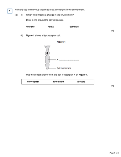 pdf, 216.81 KB