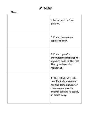 Mitosis and The Cell Cycle - New AQA Biology GCSE | Teaching Resources