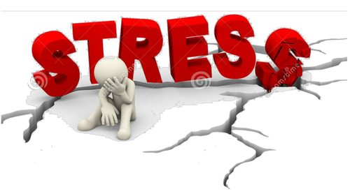Yr 12 Tutor Session - Stress (Exams)
