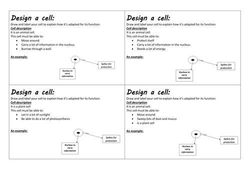 docx, 210.43 KB