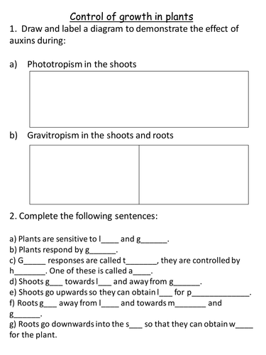 NEW AQA GCSE Biology (2016) - Plant hormones & responses HT