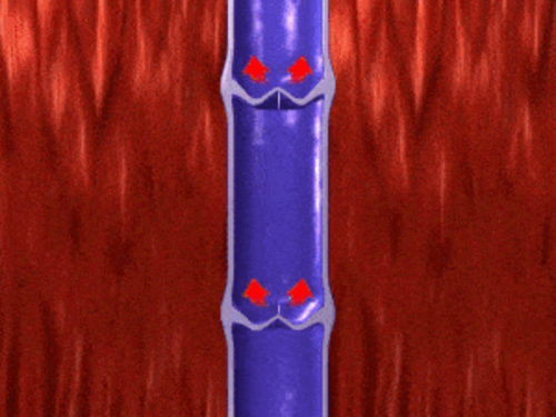 gif, 593.54 KB
