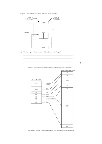 docx, 81.73 KB