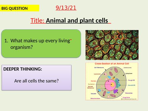 AQA new specification-Animal and plant cells-B1.2