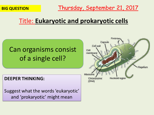 AQA new specification-Eukaryotic and prokaryotic cells-B1.3
