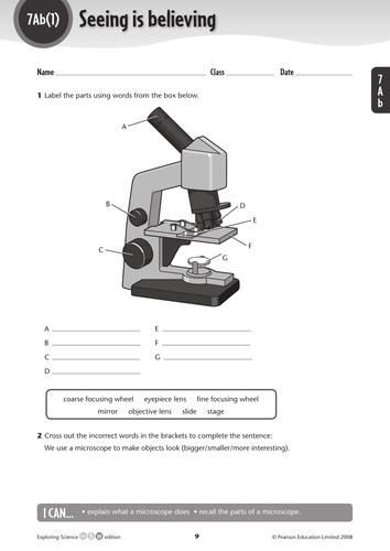 Introduction to Microscopes | Teaching Resources