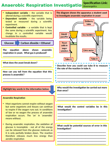 AQA KS4 GCSE Biology (Science) Anaerobic Respiration Lesson | Teaching ...