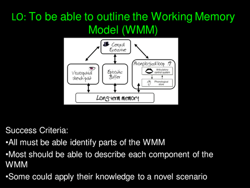 Working Memory Model (Outline and Application) Psychology