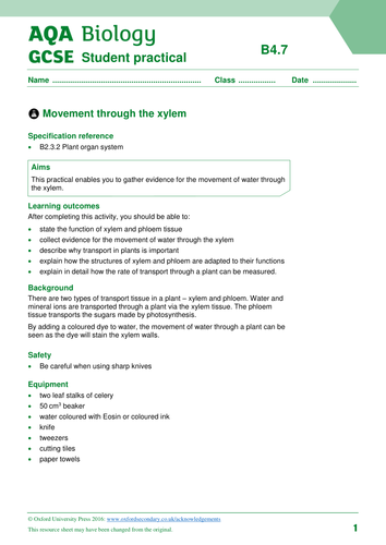 New GCSE 9-1 AQA Biology B4 Transport Systems in Plants | Teaching ...