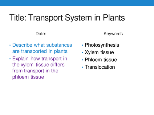 New GCSE 9-1 AQA Biology B4 Transport Systems in Plants | Teaching ...