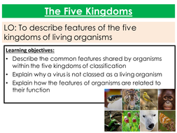 New AQA biology five kingdoms lesson | Teaching Resources