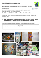 Specialised cells interactive picture