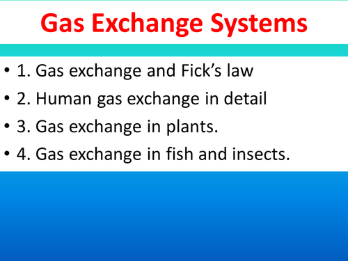 AS Level Biology: Transport systems, gas exchange, cell division, the heart, molecules, enzymes.