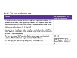 123 Dna Replication Worksheet Answers - Worksheet List