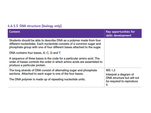 DNA Structure (Biology Only) - New AQA Biology GCSE | Teaching Resources