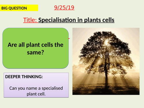 AQA new specification-Specialisation in plant cells-B1.5