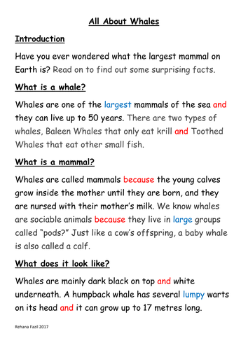 good titles for essays about whales