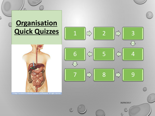 AQA Trilogy Organisation Quick Quizzes