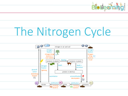 Nitrogen Cycle - Powerpoint PPT (KS4) | Teaching Resources