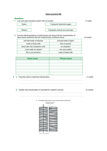 docx, 140.82 KB
