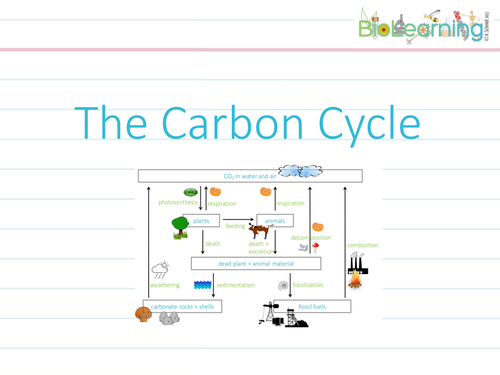 Carbon Cycle - Powerpoint PPT (KS3/KS4) | Teaching Resources