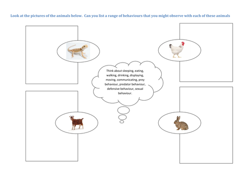 Temperament and behaviour, normal and stressed