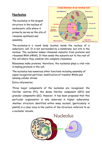 docx, 71.48 KB