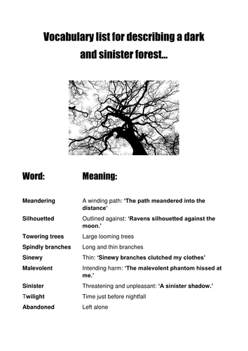 Descriptive Writing: Journey through the dark forest: 1-4 lesson scheme ...