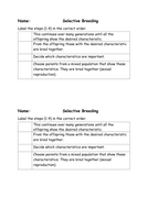 Applied animal breeding picture