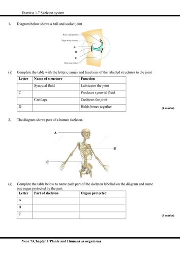 IGCSE :Plants and Humans as organisms (Skeletal system, joints ...