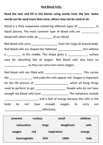 docx, 17.96 KB