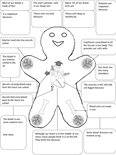 7Cb Gingerblood Man (Blood Cells)