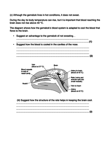 pdf, 104.77 KB