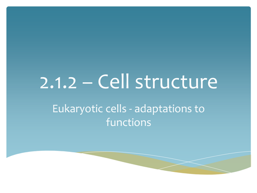 Adaptations to functions AS level