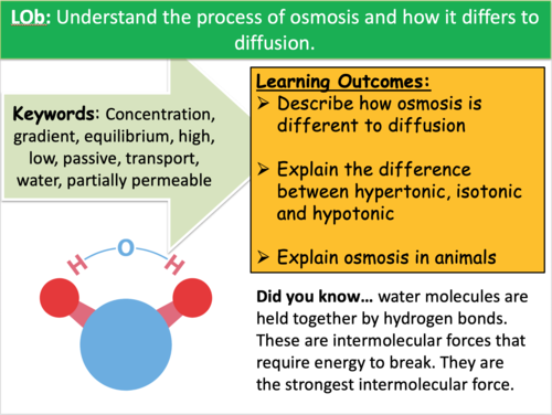 describe the process of osmosis