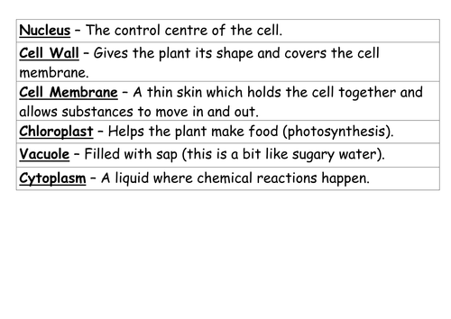 docx, 19.37 KB