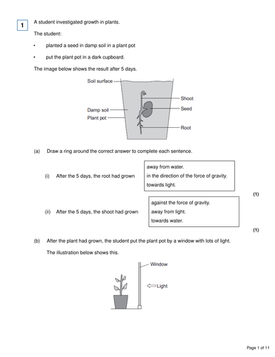 Lesson on Plant Hormones (New GCSE AQA) | Teaching Resources