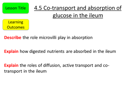 aqa-as-biology-co-transport-and-absorption-of-glucose-teaching-resources