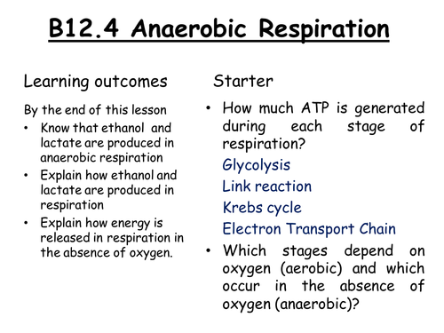 AQA A2 Biology Anaerobic Respiration | Teaching Resources