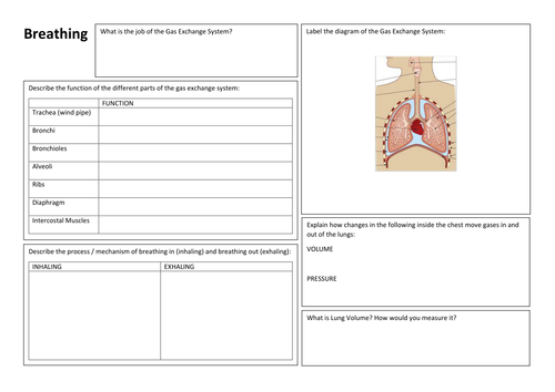 KS3 Biology - Breathing & Gas Exchange - Revision Summary Poster