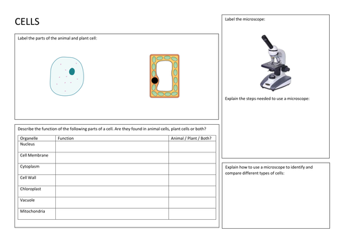 KS3 Biology - Cells - Revision Summary Poster