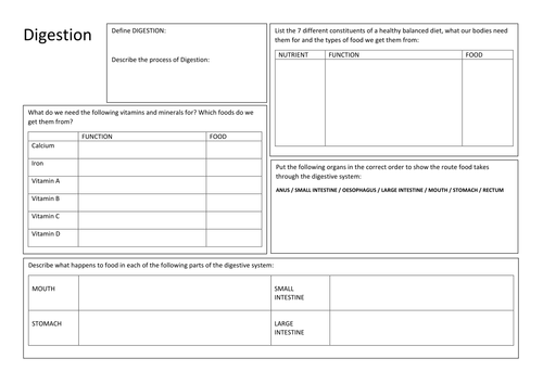 KS3 Biology - Digestion - Revision Summary Poster