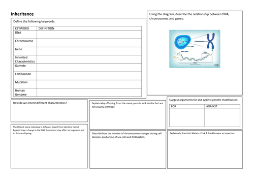 KS3 Biology - Inheritance - Revision Summary Poster