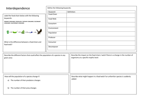 KS3 Biology - Interdependence - Revision Summary Poster