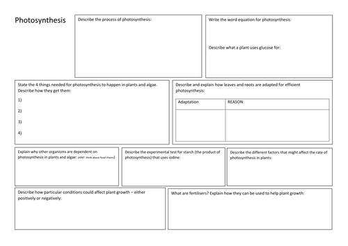 KS3 Biology - Photosynthesis - Revision Summary Poster