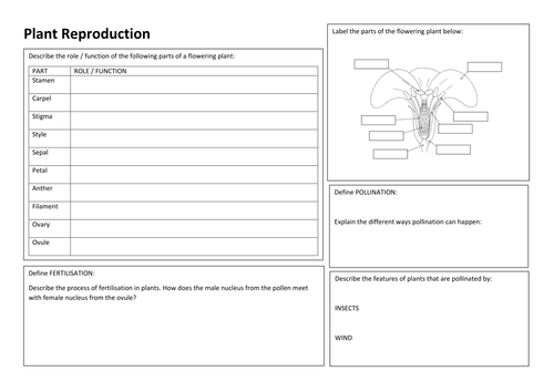 KS3 Biology - Plant Reproduction - Revision Summary Poster