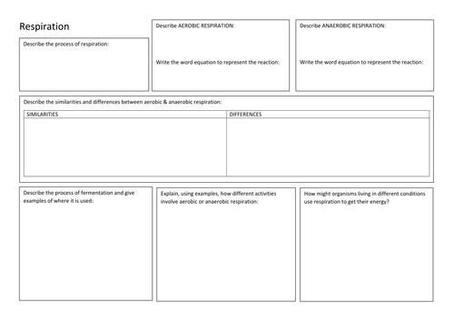 KS3 Biology - Respiration - Revision Summary Poster