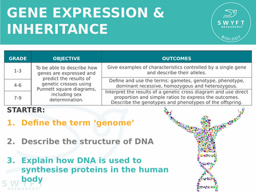 NEW AQA GCSE Trilogy (2016) Biology - Gene expression & inheritance